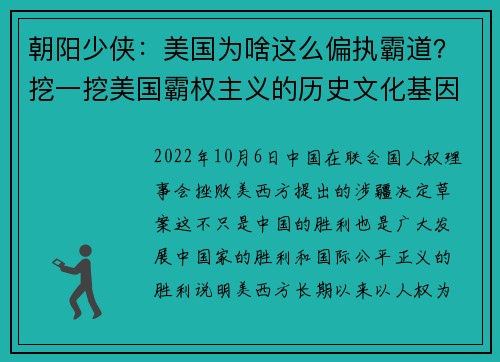 朝阳少侠：美国为啥这么偏执霸道？挖一挖美国霸权主义的历史文化基因